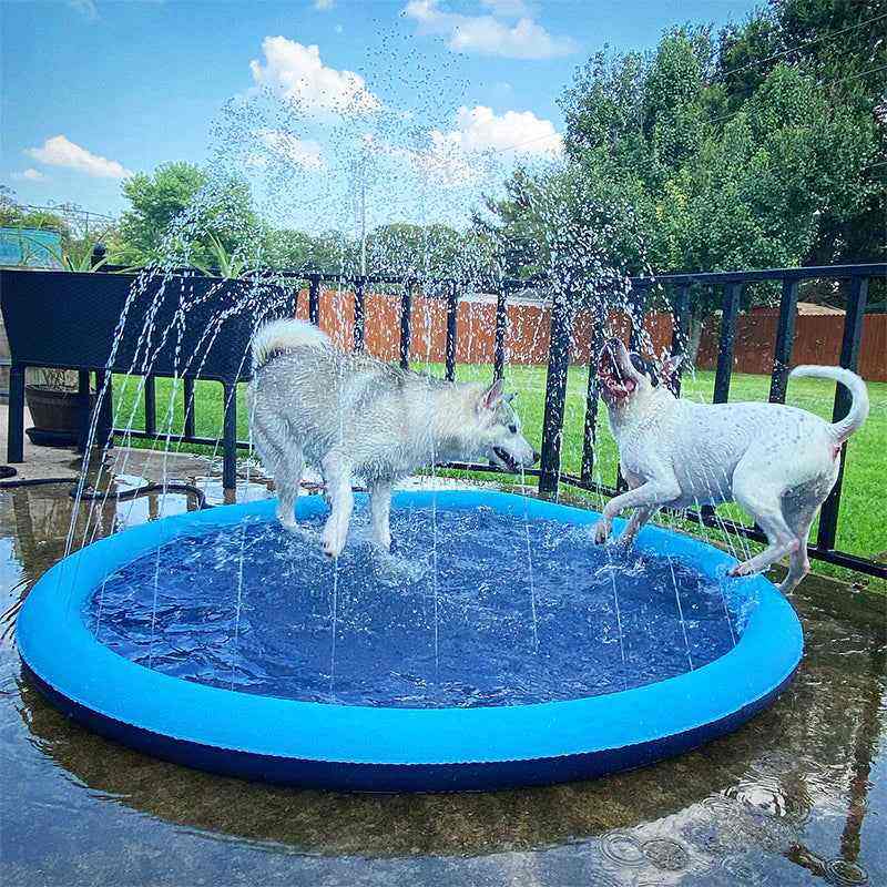 Piscina para Cachorro com Chafariz