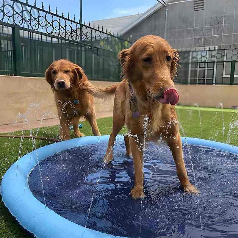 Piscina para Cachorro com Chafariz